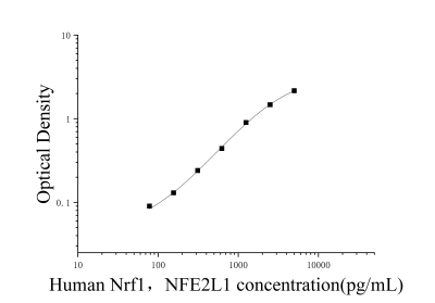 人核因子E2相关因子1(Nrf1，NFE2L1)ELISA检测试剂盒 [货号:JL16567]