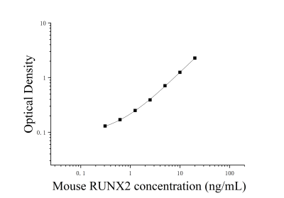 小鼠Runt相关转录因子2(RUNX2)ELISA检测试剂盒 [货号:JL43516]