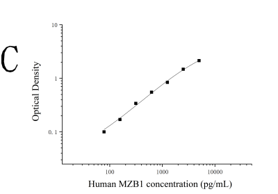 人边缘区B细胞及B1细胞特异性蛋白(MZB1)ELISA试剂盒 [货号:JL52941]